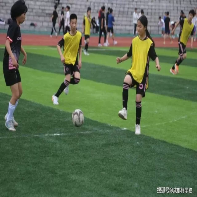 网球红土赛程观察：深度解读第303组赛事亮点